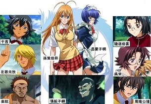 一騎当千、クイーンズブレイド、百花繚乱、←この辺の服が破けるお色気バトルアニメ