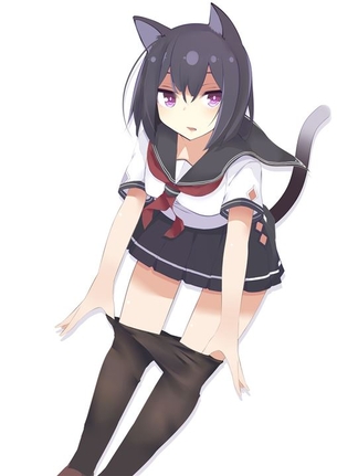【猫耳娘】猫耳が可愛い女の子の二次元エロ画像＆イラスト Part14