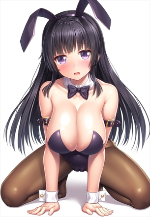 【二次】バニーガールの格好の女の子のエロ画像まとめ Part２５