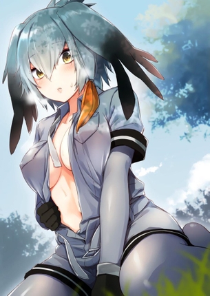 【49枚】けものフレンズ画像スレ