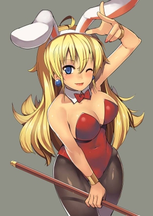 【虹画像】バニーガールさん達の脚線美画像集 part7