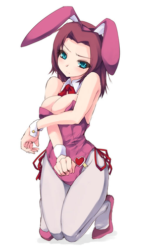 【虹画像】バニーガールさん達の脚線美画像集 part8