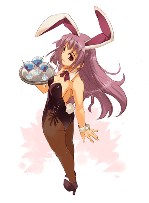 【虹画像】バニーガールさん達の脚線美画像集 part6