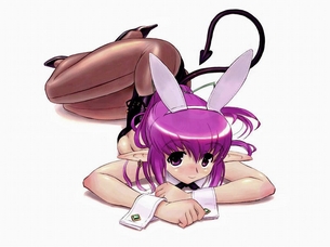 【虹画像】バニーガールさん達の脚線美画像集 part2