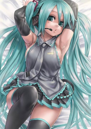 【虹画像】初音ミクのニーソックス脚な画像集 part11