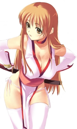 【二次】女忍者風のエロい格好した女の子の画像【クノイチ】