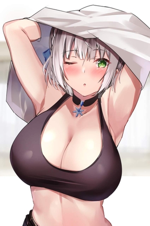 【バーチャルyoutuber】こんな超絶エッロエロな白銀ノエルの抜ける二次エロ画像があったのか？！
