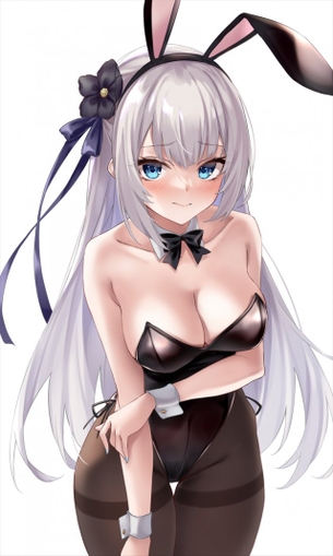 【二次】バニーガール画像　その１４
