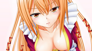[戦国乙女]立花ドウセツ 抜けるエロ画像＆イラスト 20枚まとめ