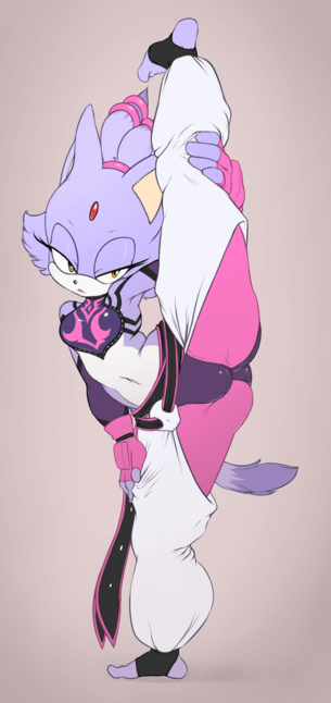 ブレイズ・ザ・キャットのエロ画像：【ソニックシリーズ】