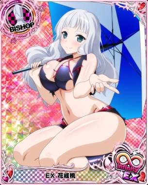 【ハイスクールD×D】 ハイスクールディーディーの剥ぎコラ その243