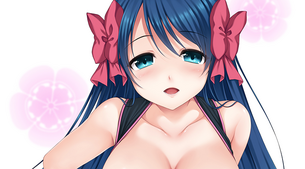 [織田信奈の野望]丹羽長秀(にわながひで) 抜けるエロ画像＆イラスト 35枚まとめ
