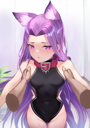 【キャラ】メドゥーサ(ランサー) 画像まとめ その２【Fate】