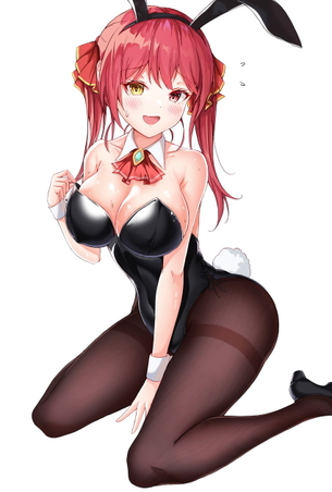 【二次】エッチなカラダしてる黒タイツバニーガールの画像【黒スト】