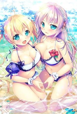 【非・微エロ】体感温度が１℃下がる水着美少女画像まとめ その２.５