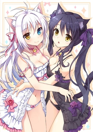 【猫耳娘】猫耳が可愛い女の子の二次元エロ画像＆イラスト Part09