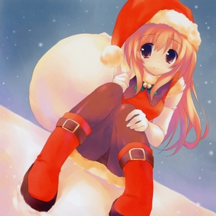 クリスマスに備えてサンタのコス画像集めようぜｗｗｗｗｗｗｗ part2