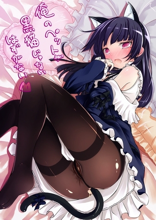 俺妹の黒猫の画像が怖い… part3（終）
