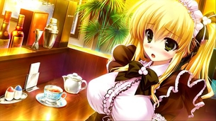 【メイド】みんな大好きメイドさんの二次元エロ画像＆イラスト Part19