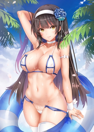 【二次元】ビキニ美女達のエロ画像 Part.2 40枚 Bikini