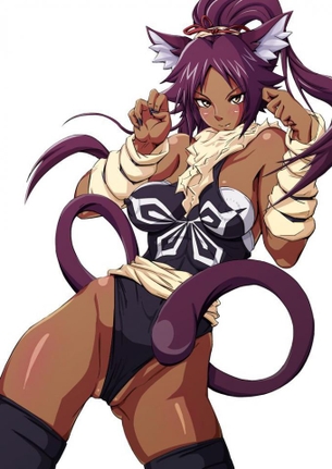 四楓院夜一のおっぱいを好き放題ヤリ放題な二次エロ画像【BLEACH】