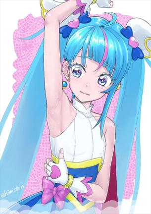 プリキュアのエロ画像下さい