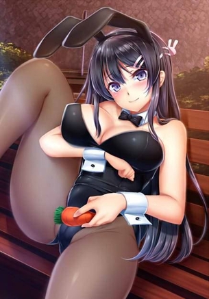 【青春ブタ野郎はバニーガール先輩の夢を見ない】桜島麻衣 二次元エロ画像＆イラスト Part1