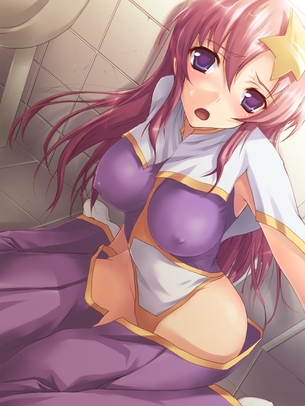 【虹画像】ラクスとミーアの画像集 part10