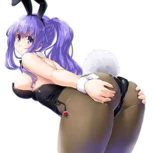 【バニー】えっちなバニーガール姿の女の子の二次元エロ画像＆イラスト Part14