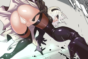 【二次】ニーアオートマタのエロ画像 ②