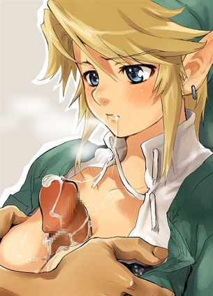 【ゼルダの伝説】リンク(女体化) 二次元エロ画像＆イラスト Part1