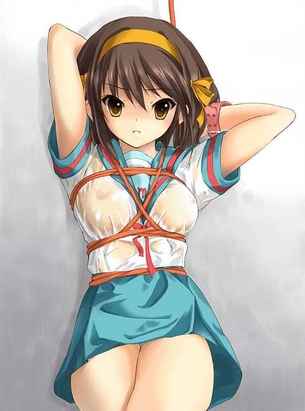 【拘束】緊縛されてる女の子の二次元エロ画像＆イラスト Part01