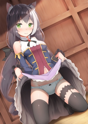 【最強コンボ】スカートおパンツ太ももニーハイソックス二次画像