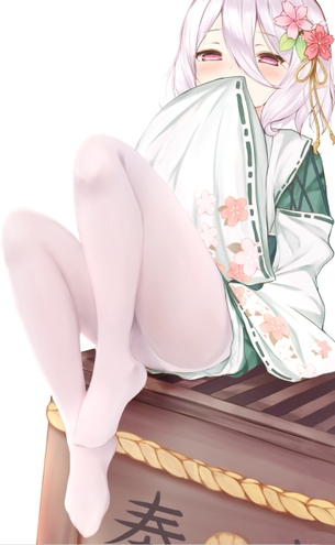 【二次】白タイツの女の子の脚を見て心を浄化させたい人の為の画像