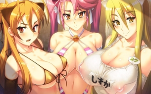 【43枚】滑稽なほどにパイパイでけえﾒｽﾒｽの二次エロ画像ください！！！！！！！！