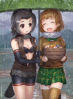 【45枚】けものフレンズ画像スレ