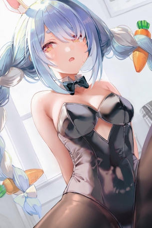 【二次】バニーガール画像　その１８