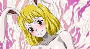 [ONE PIECE(ワンピース)] キャロット 抜けるエロ画像＆イラスト 25枚まとめ