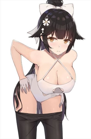 【アズールレーン】高雄/愛宕 二次元エロ画像＆イラスト Part7