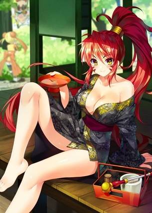 【戦国乙女】織田ノブナガ 二次元エロ画像＆イラスト Part1