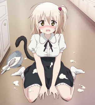 【2次】抜かずにはいられないエロ画像！29