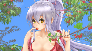 [戦国乙女]武田シンゲン 抜けるエロ画像＆イラスト 30枚まとめ