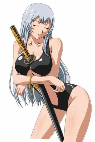 【一騎当千】趙雲子龍 二次元エロ画像＆イラスト Part2