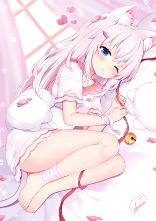 【非・微エロ】ネコミミ美少女に癒される画像まとめ　その８