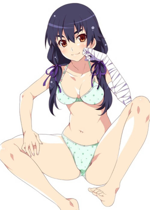 [化物語][エロ画像]神原駿河のふかふかのパンツに顔を近づけたよ♪