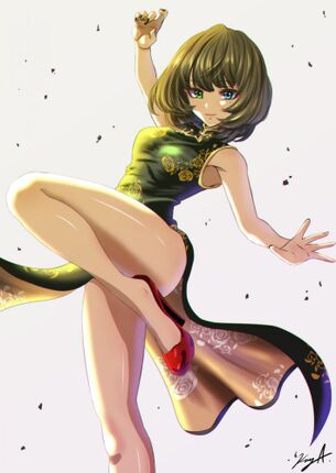 チャイナ服の二次エロ画像で！