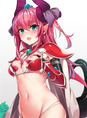 【Fate/Grand Order(FGO)】エリザベート・バートリー 二次元エロ画像＆イラスト Part1