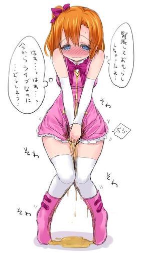 【ラブライブ！】高坂穂乃果の萌え・可愛い二次エロ画像まとめ