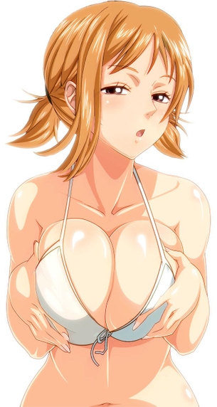 【ワンピース】こんな超絶エッロエロなナミの抜ける二次エロ画像があったのか？！