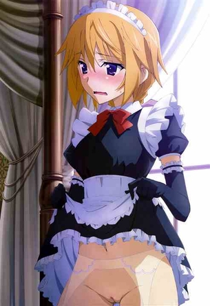 【インフィニット・ストラトス(IS)】シャルロット・デュノア 二次元エロ画像＆イラスト Part11
